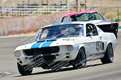 media/May-11-2025-Cobra Club (Sun) [[44ca44ec33]]/Passenger/